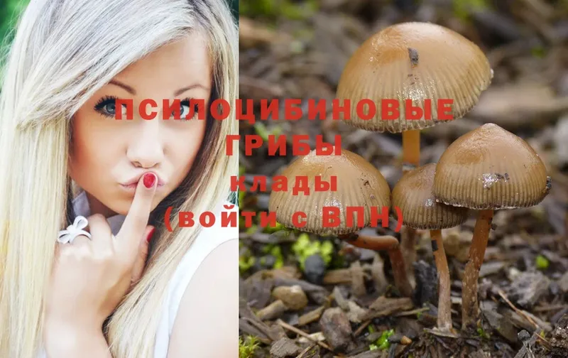 блэк спрут ТОР  Казань  Галлюциногенные грибы Magic Shrooms  закладки 